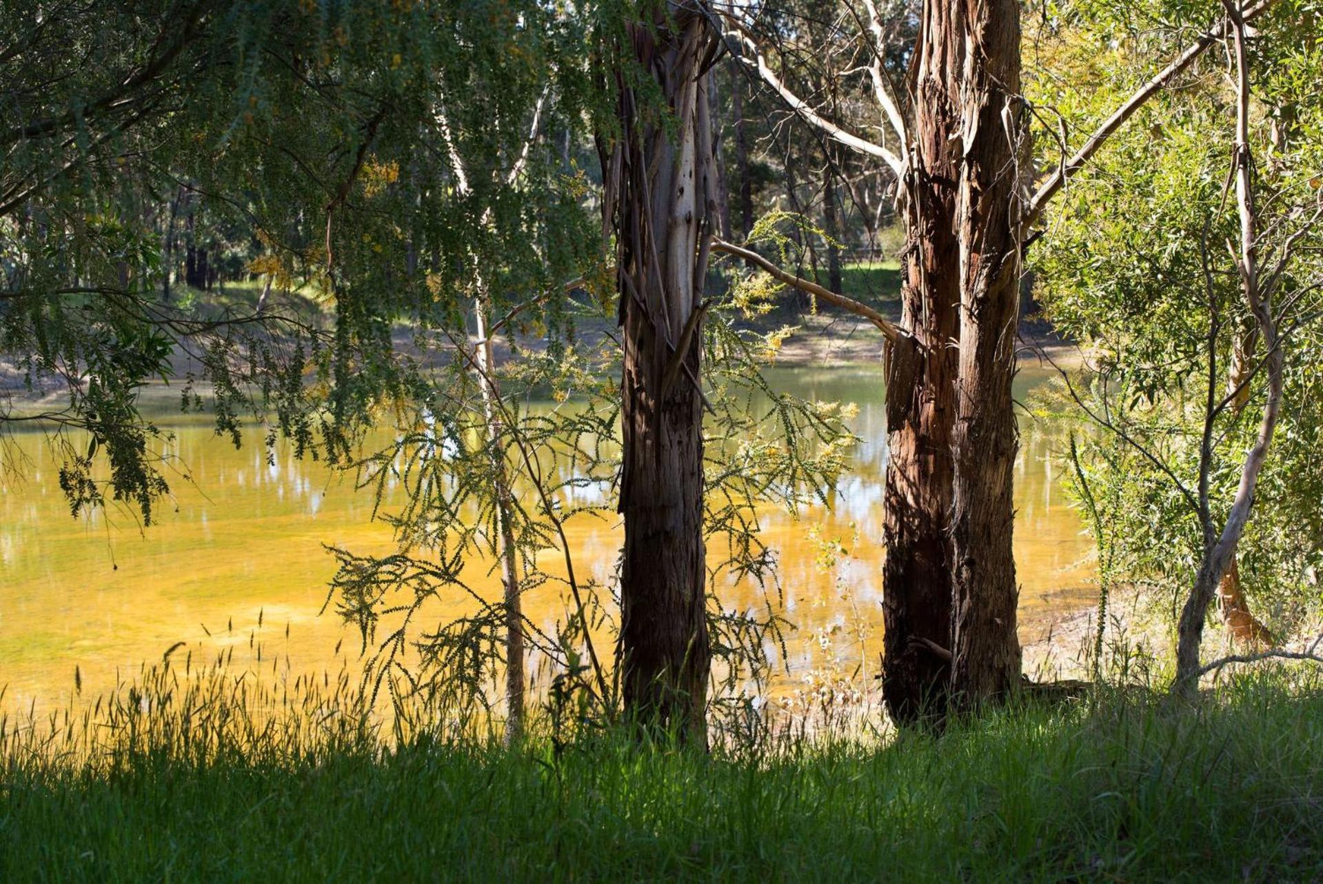 Bodhi Daylesford Villa Exterior photo