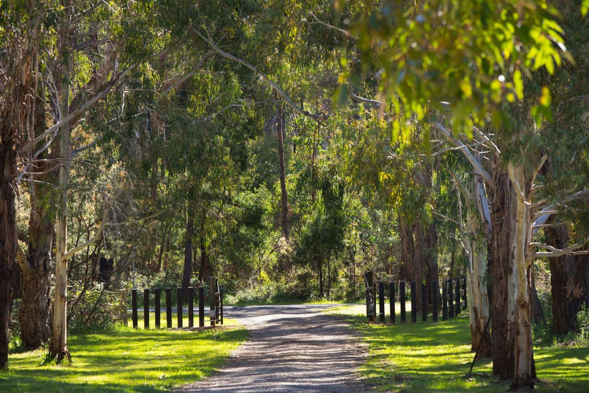 Bodhi Daylesford Villa Exterior photo